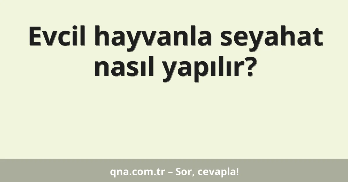 Evcil hayvanla seyahat nasıl yapılır?