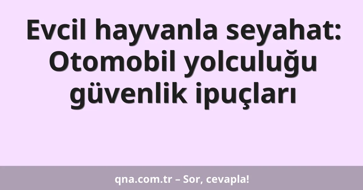 Evcil hayvanla seyahat: Otomobil yolculuğu güvenlik ipuçları