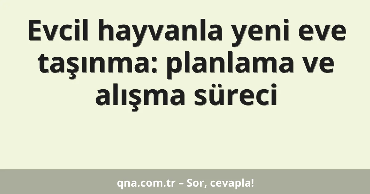 Evcil hayvanla yeni eve taşınma: planlama ve alışma süreci