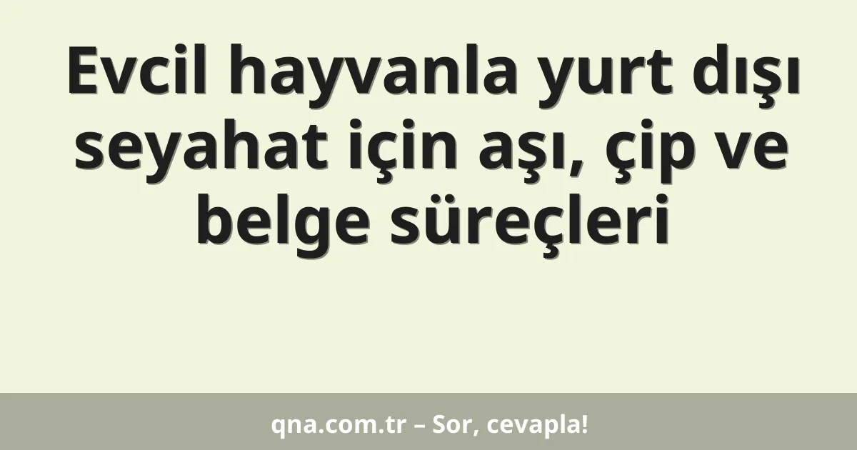 Evcil hayvanla yurt dışı seyahat için aşı, çip ve belge süreçleri