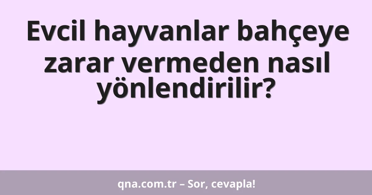 Evcil hayvanlar bahçeye zarar vermeden nasıl yönlendirilir?