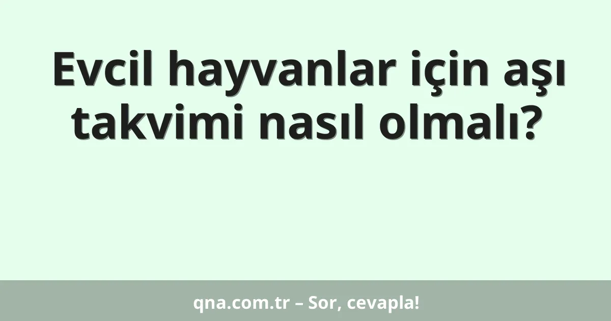 Evcil hayvanlar için aşı takvimi nasıl olmalı?