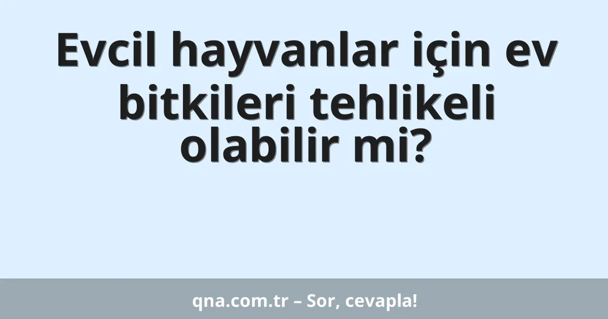 Evcil hayvanlar için ev bitkileri tehlikeli olabilir mi?