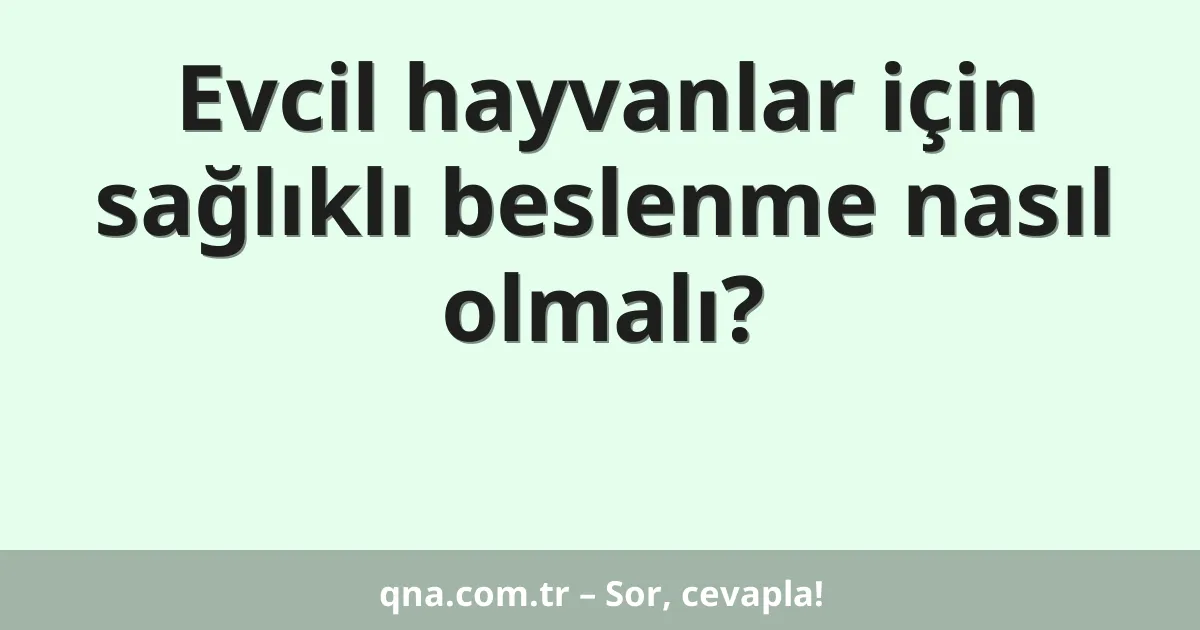 Evcil hayvanlar için sağlıklı beslenme nasıl olmalı?
