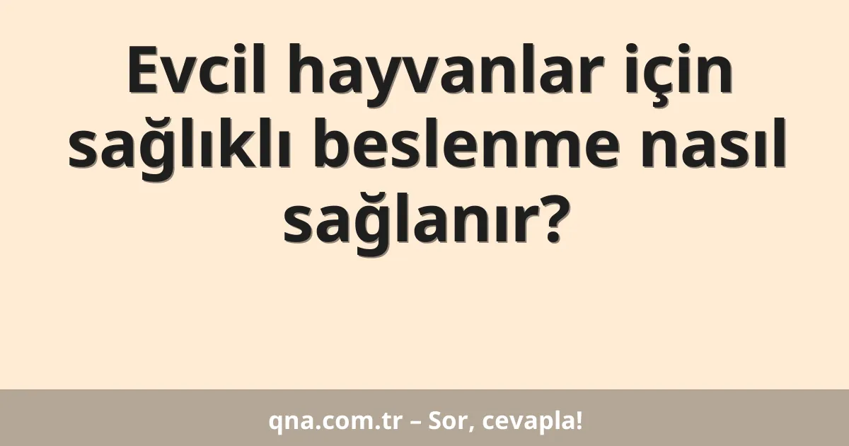Evcil hayvanlar için sağlıklı beslenme nasıl sağlanır?