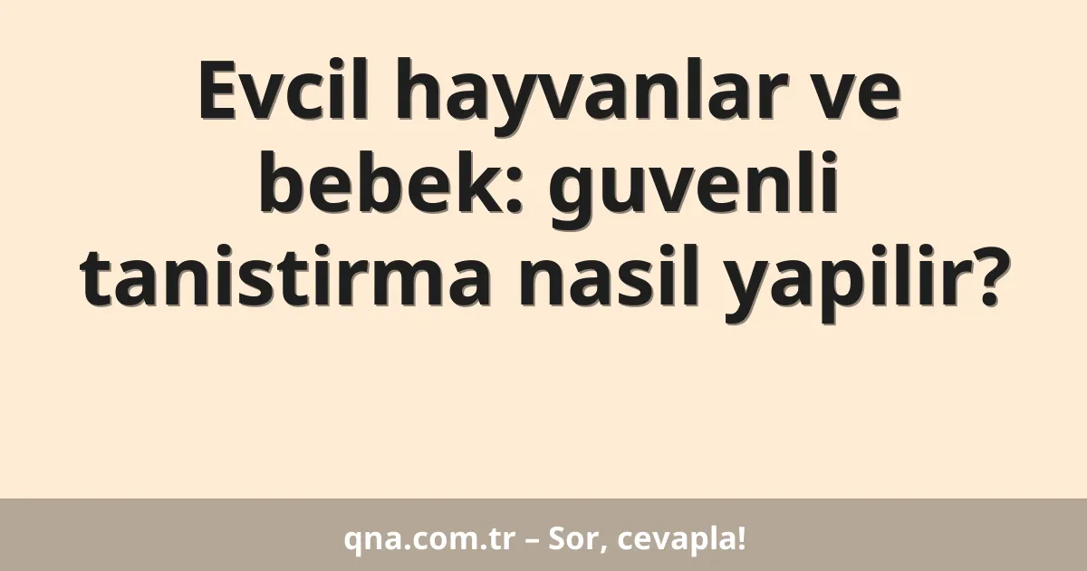 Evcil hayvanlar ve bebek: guvenli tanistirma nasil yapilir?