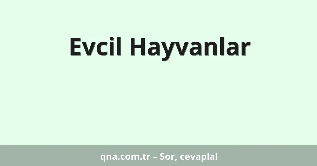 Evcil Hayvanlar