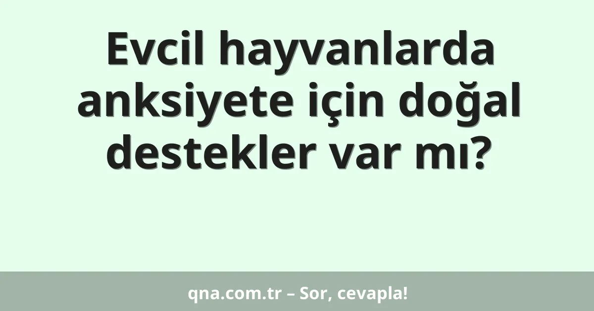 Evcil hayvanlarda anksiyete için doğal destekler var mı?