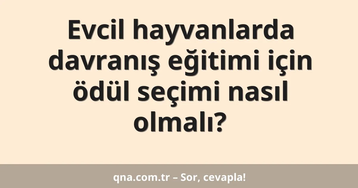Evcil hayvanlarda davranış eğitimi için ödül seçimi nasıl olmalı?