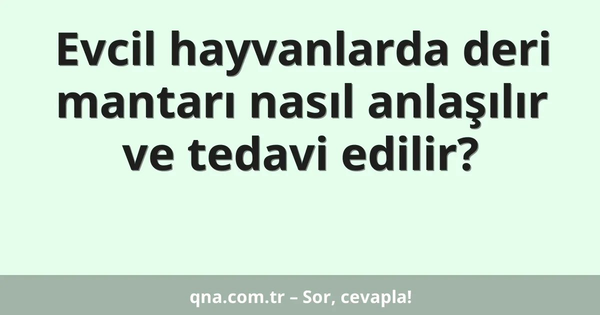 Evcil hayvanlarda deri mantarı nasıl anlaşılır ve tedavi edilir?