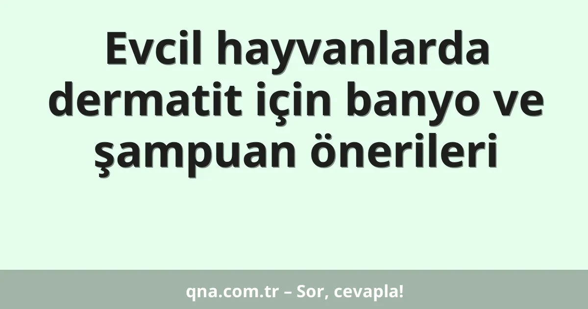 Evcil hayvanlarda dermatit için banyo ve şampuan önerileri