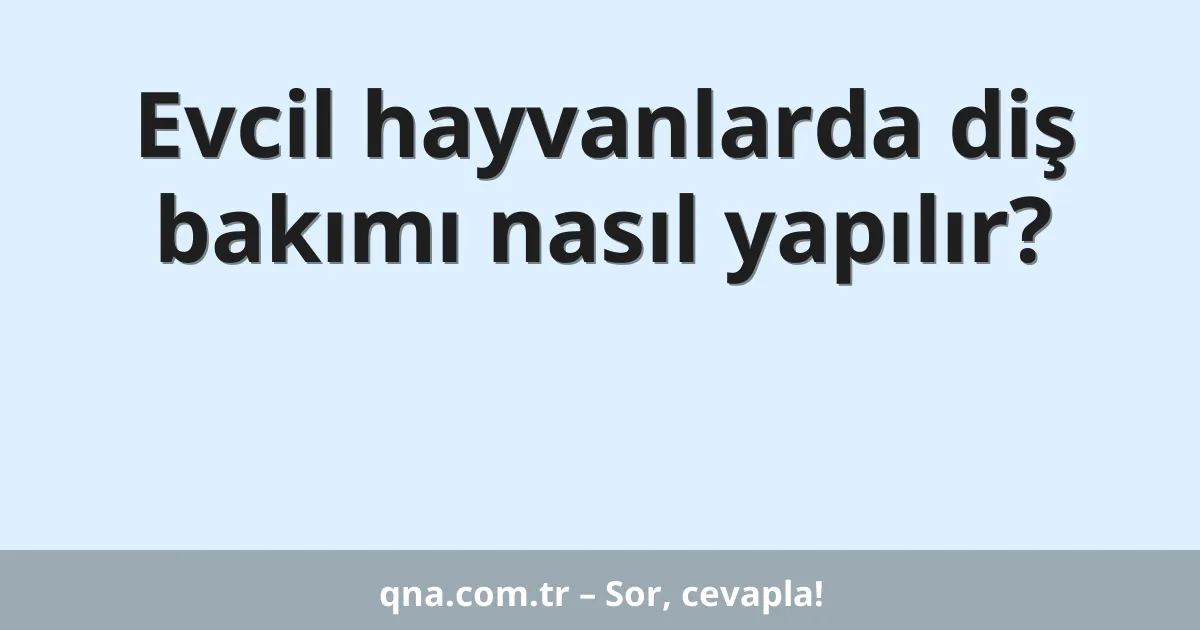 Evcil hayvanlarda diş bakımı nasıl yapılır?