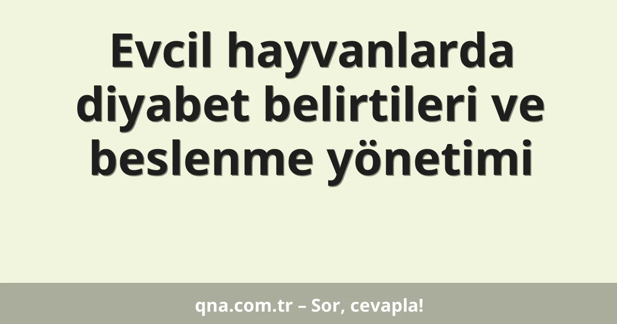 Evcil hayvanlarda diyabet belirtileri ve beslenme yönetimi