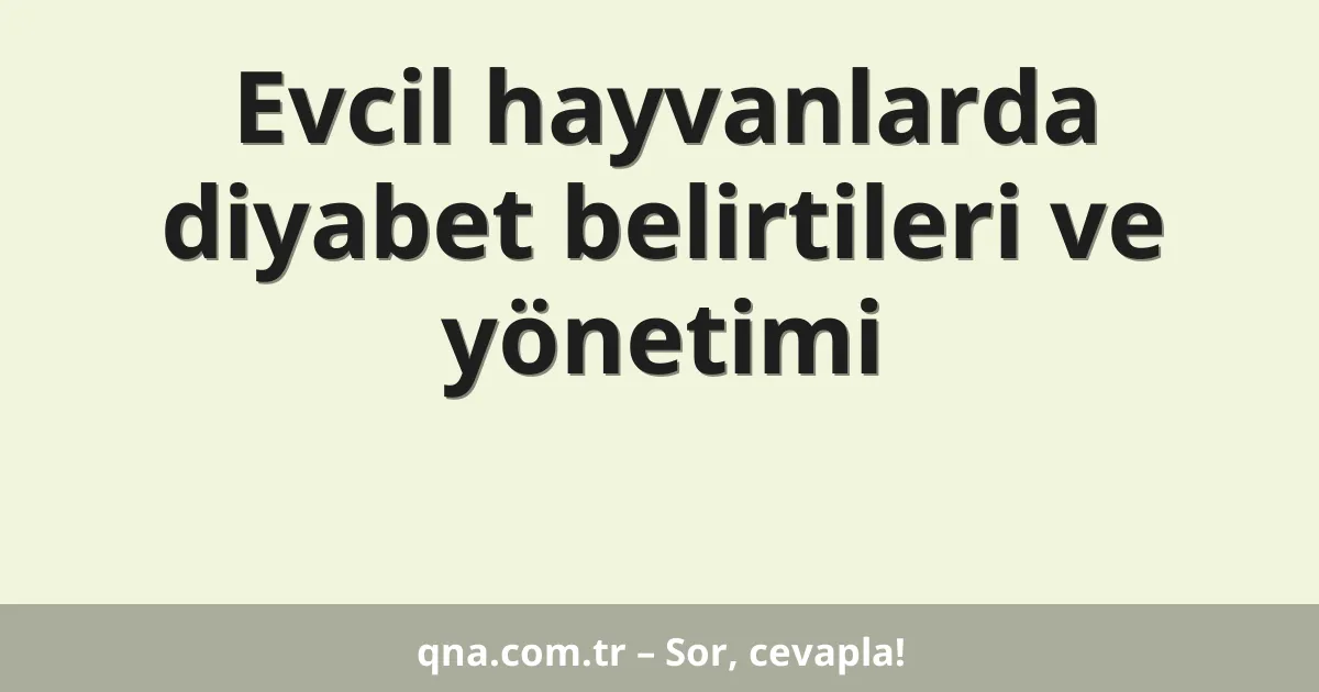 Evcil hayvanlarda diyabet belirtileri ve yönetimi
