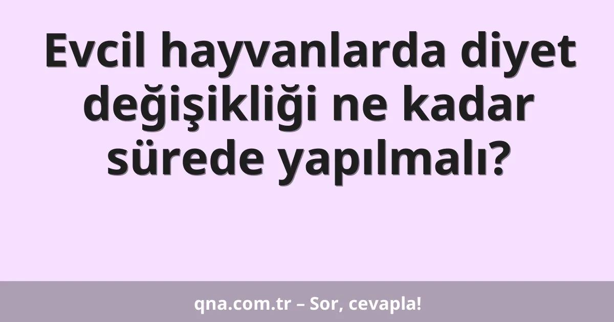 Evcil hayvanlarda diyet değişikliği ne kadar sürede yapılmalı?