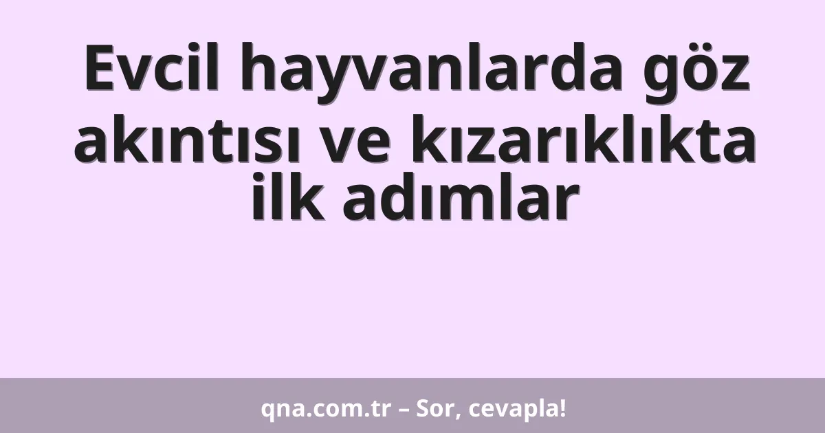 Evcil hayvanlarda göz akıntısı ve kızarıklıkta ilk adımlar