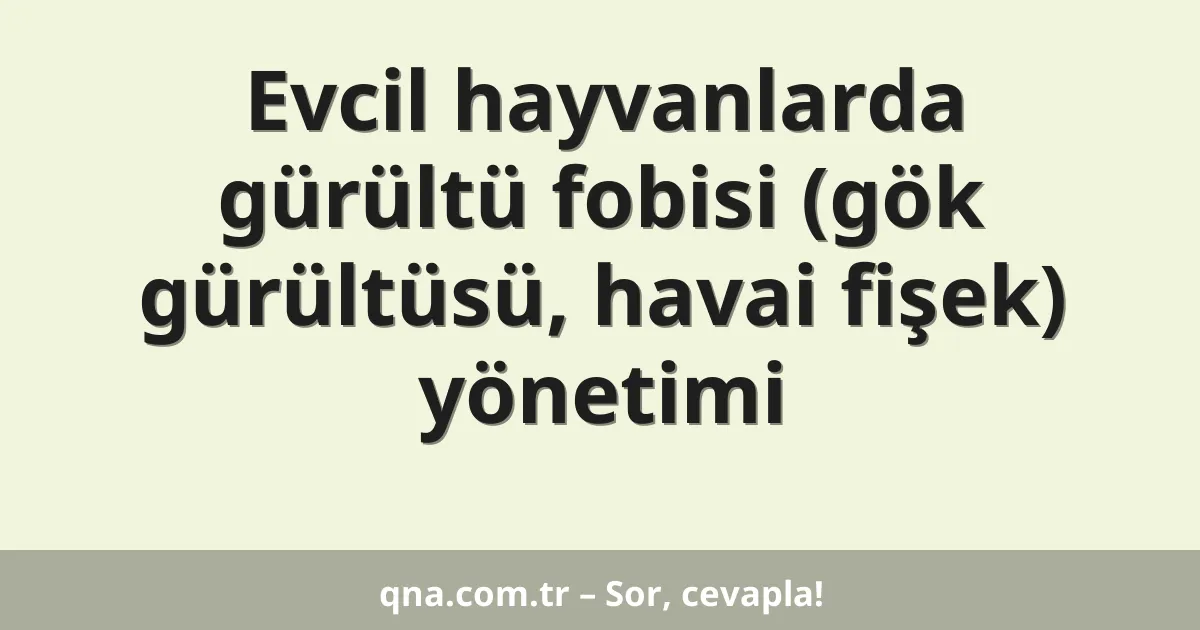 Evcil hayvanlarda gürültü fobisi (gök gürültüsü, havai fişek) yönetimi