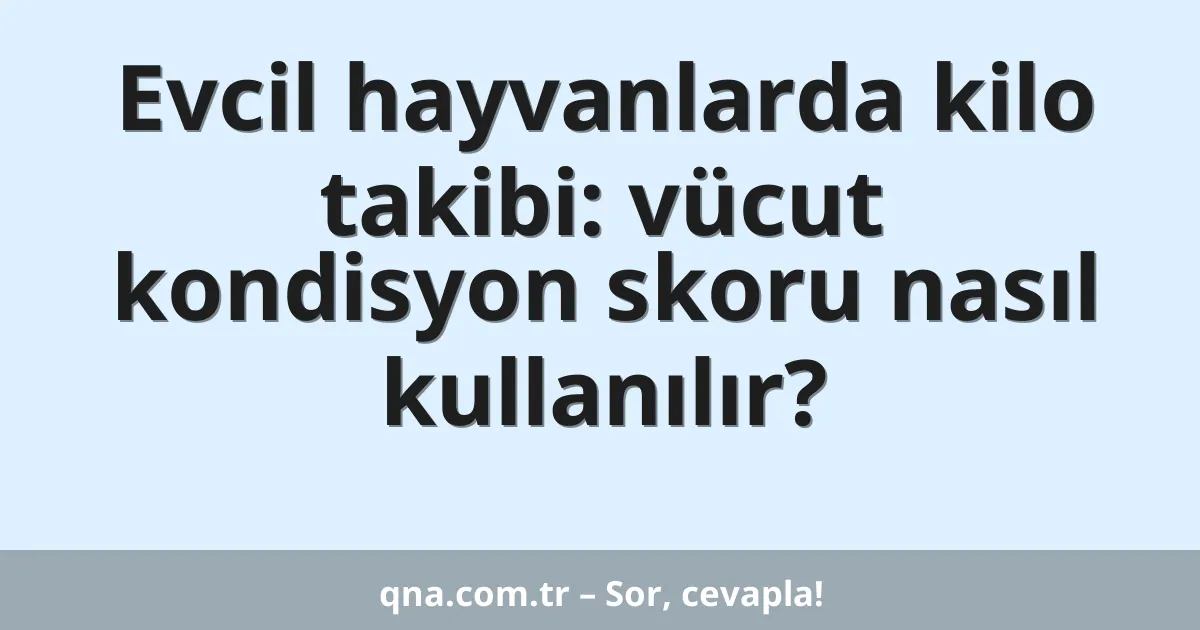 Evcil hayvanlarda kilo takibi: vücut kondisyon skoru nasıl kullanılır?