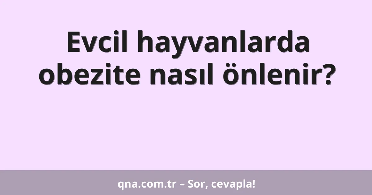 Evcil hayvanlarda obezite nasıl önlenir?