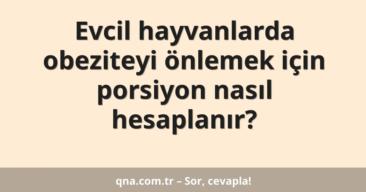 Evcil hayvanlarda obeziteyi önlemek için porsiyon nasıl hesaplanır?