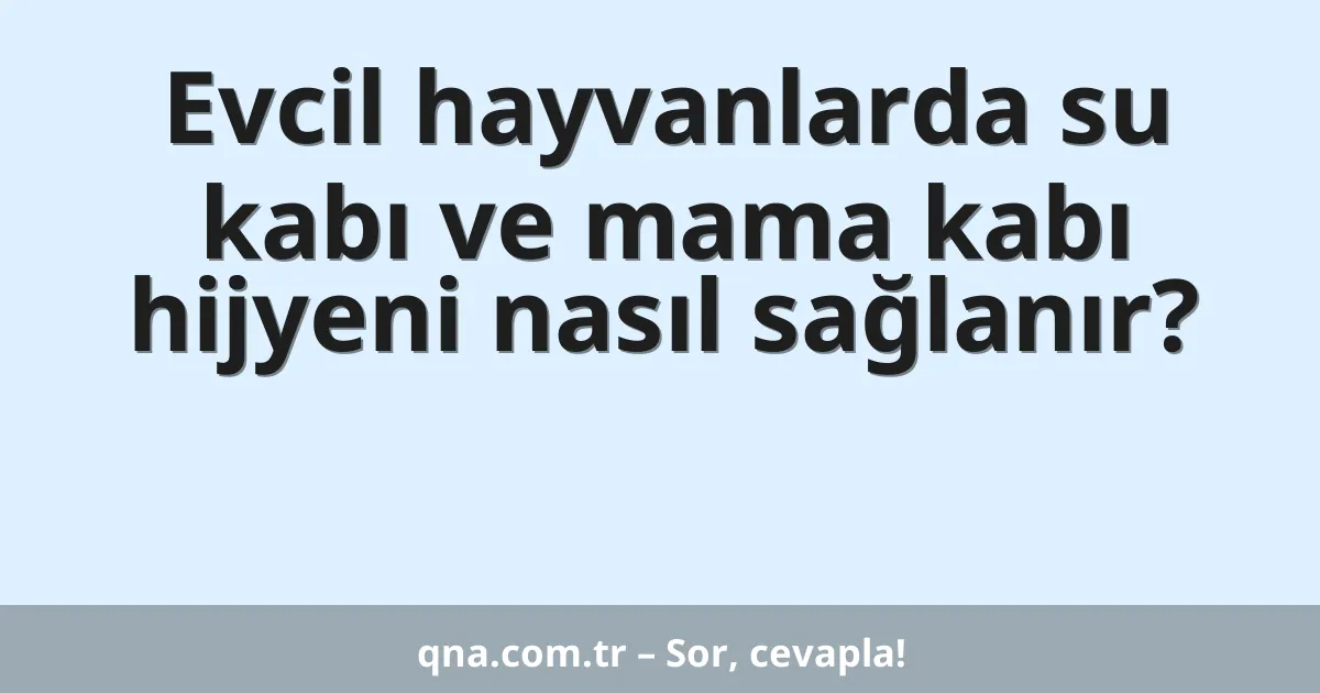 Evcil hayvanlarda su kabı ve mama kabı hijyeni nasıl sağlanır?