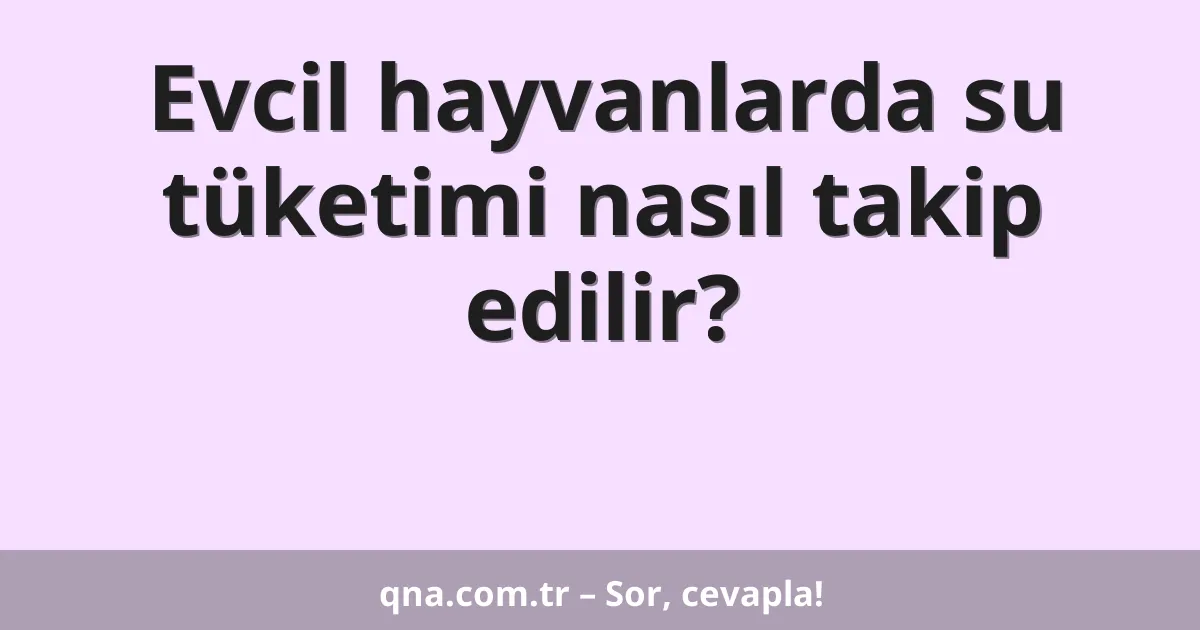 Evcil hayvanlarda su tüketimi nasıl takip edilir?