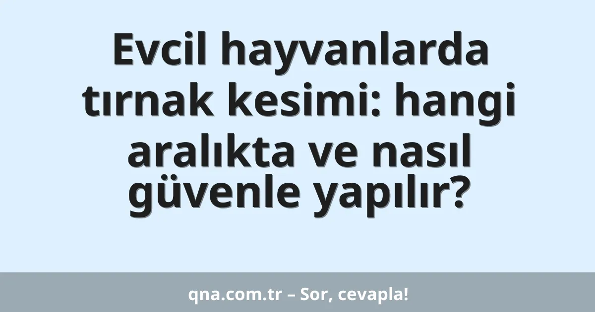 Evcil hayvanlarda tırnak kesimi: hangi aralıkta ve nasıl güvenle yapılır?
