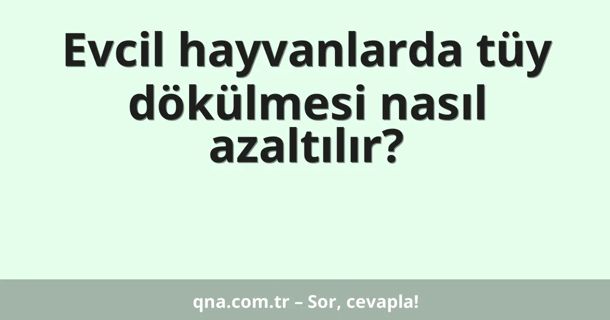Evcil hayvanlarda tüy dökülmesi nasıl azaltılır?