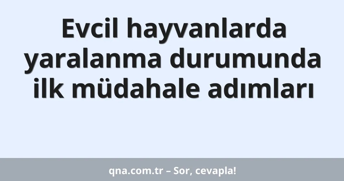 Evcil hayvanlarda yaralanma durumunda ilk müdahale adımları