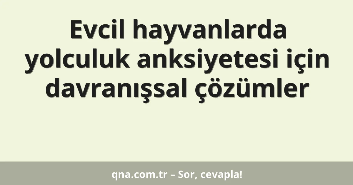 Evcil hayvanlarda yolculuk anksiyetesi için davranışsal çözümler