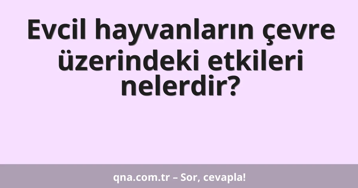 Evcil hayvanların çevre üzerindeki etkileri nelerdir?