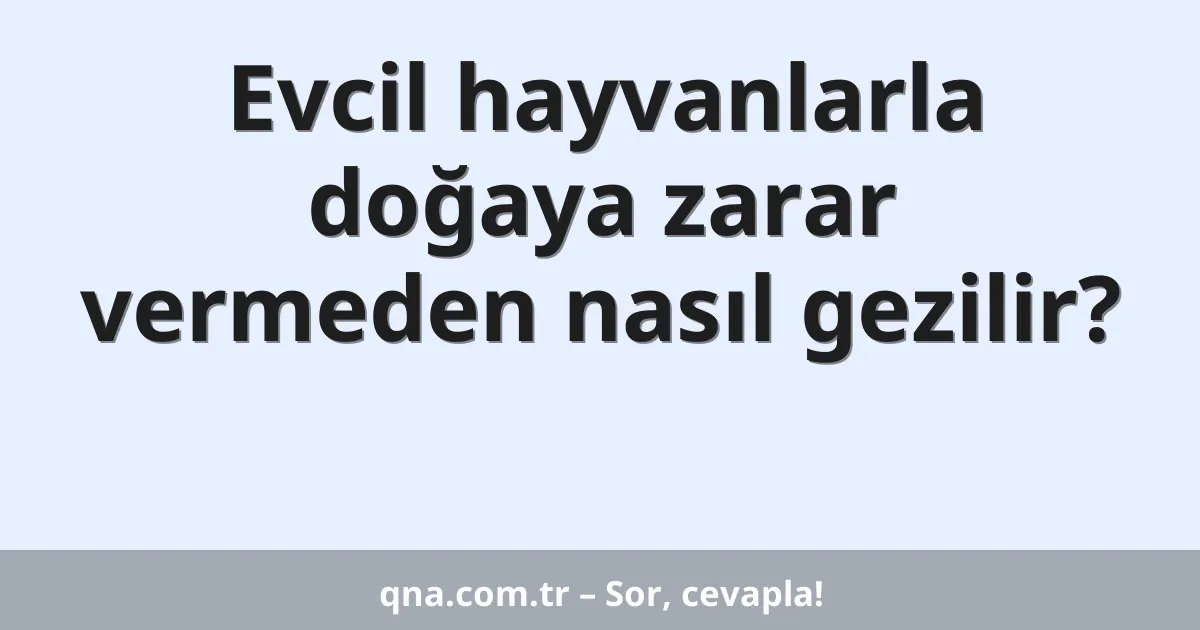 Evcil hayvanlarla doğaya zarar vermeden nasıl gezilir?