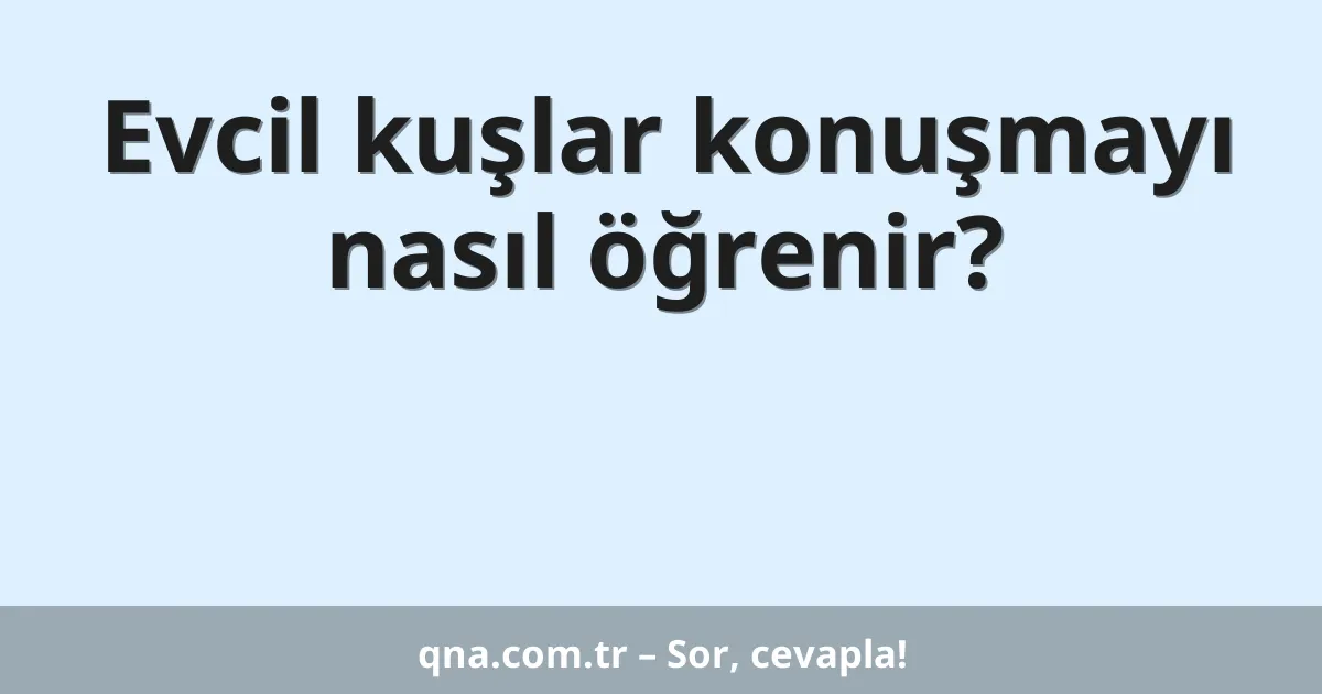 Evcil kuşlar konuşmayı nasıl öğrenir?