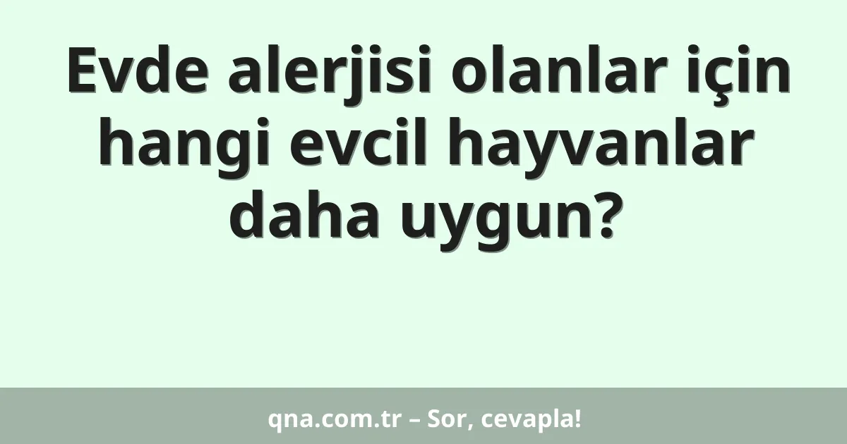 Evde alerjisi olanlar için hangi evcil hayvanlar daha uygun?