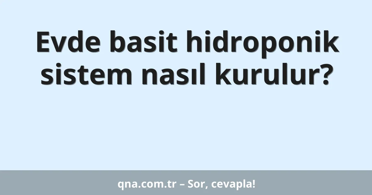 Evde basit hidroponik sistem nasıl kurulur?