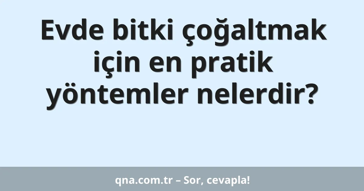 Evde bitki çoğaltmak için en pratik yöntemler nelerdir?