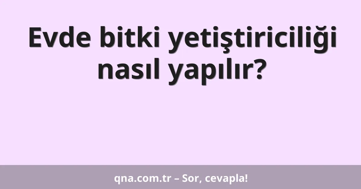 Evde bitki yetiştiriciliği nasıl yapılır?