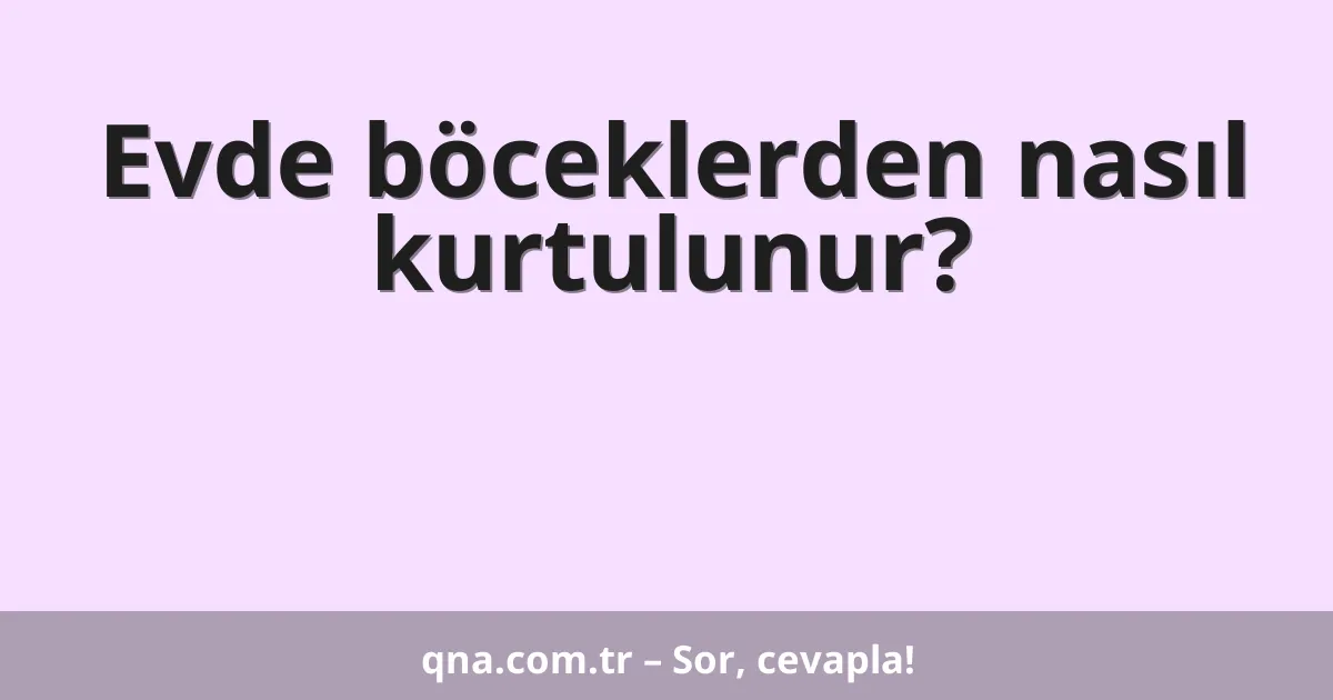 Evde böceklerden nasıl kurtulunur?