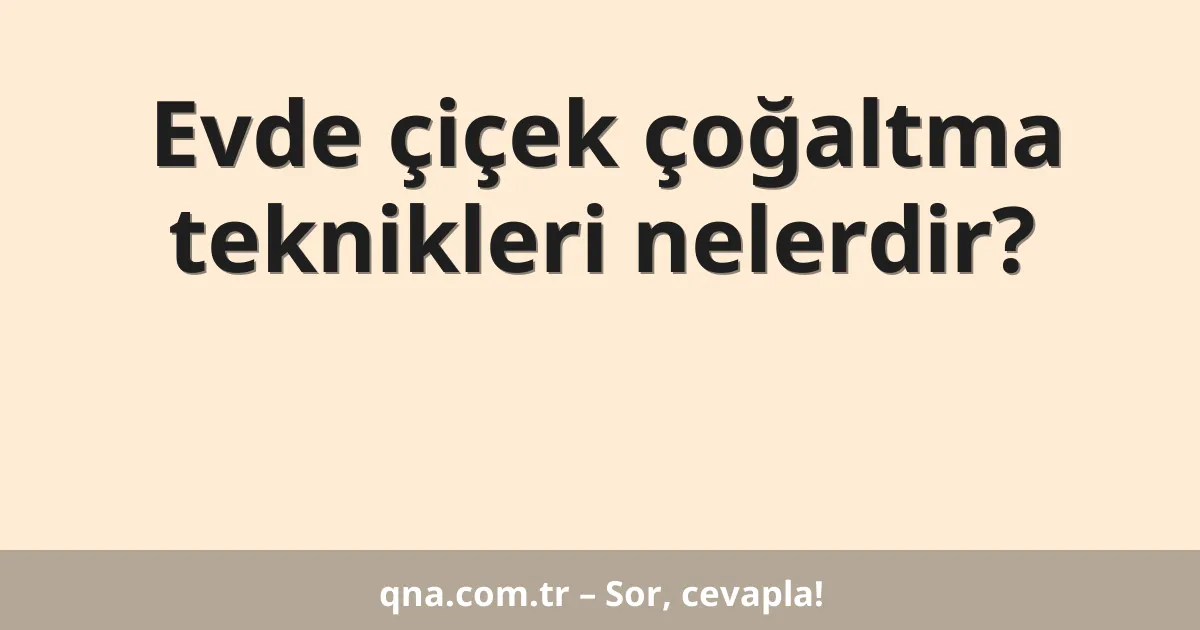 Evde çiçek çoğaltma teknikleri nelerdir?