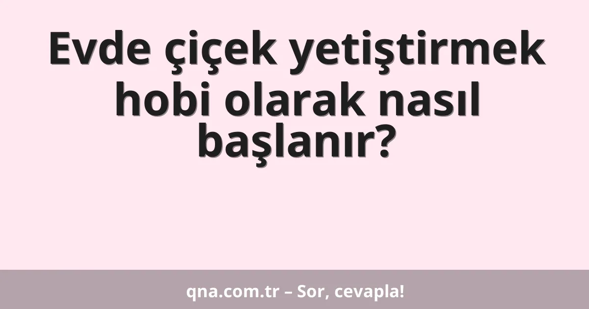 Evde çiçek yetiştirmek hobi olarak nasıl başlanır?