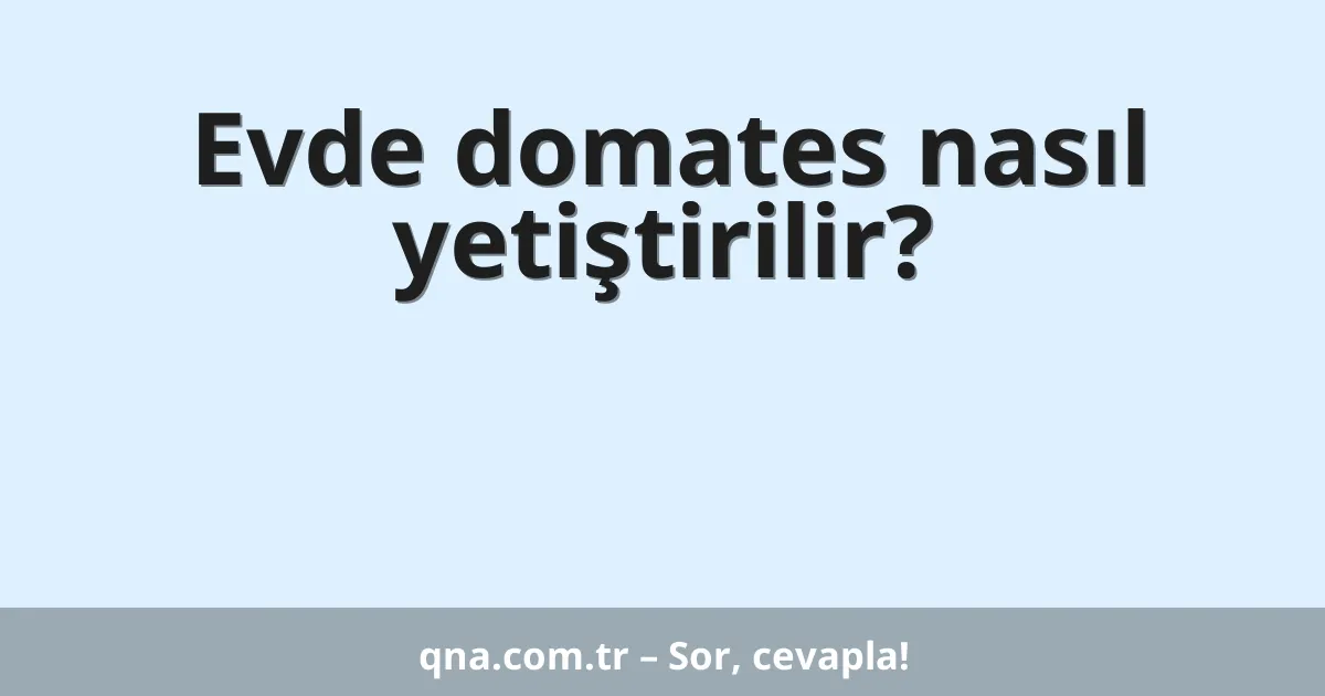 Evde domates nasıl yetiştirilir?