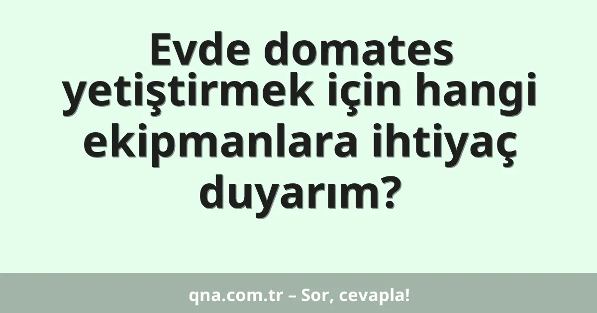 Evde domates yetiştirmek için hangi ekipmanlara ihtiyaç duyarım?