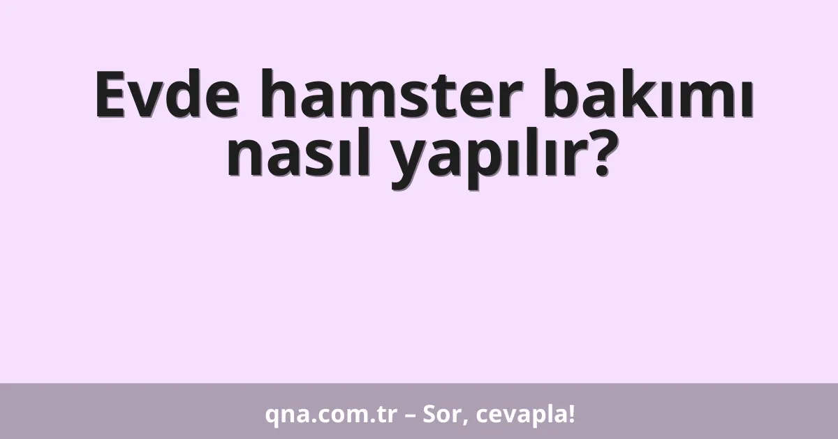 Evde hamster bakımı nasıl yapılır?