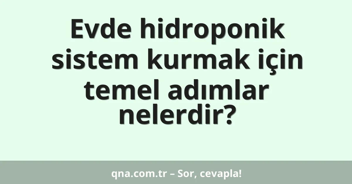 Evde hidroponik sistem kurmak için temel adımlar nelerdir?