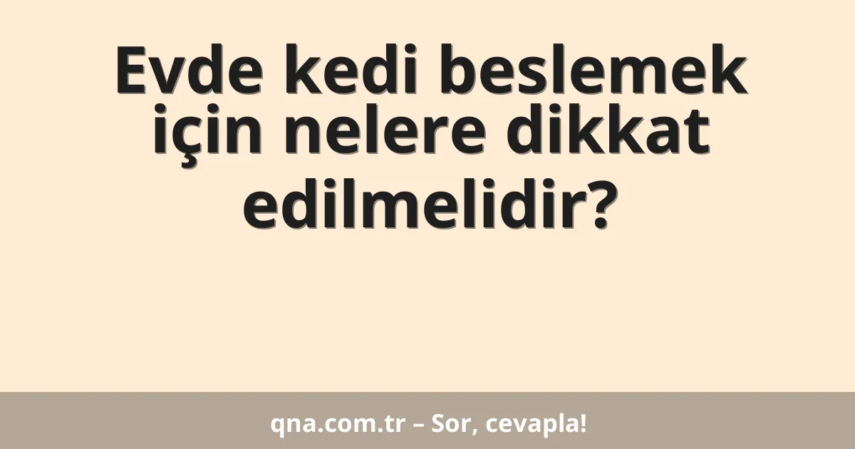 Evde kedi beslemek için nelere dikkat edilmelidir?