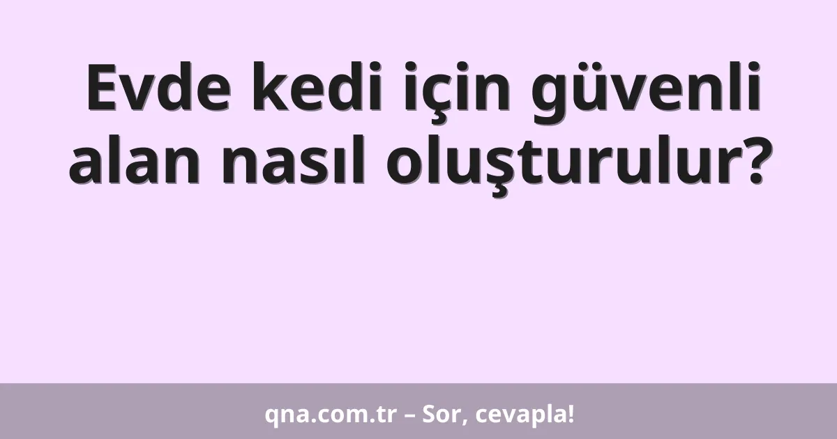 Evde kedi için güvenli alan nasıl oluşturulur?