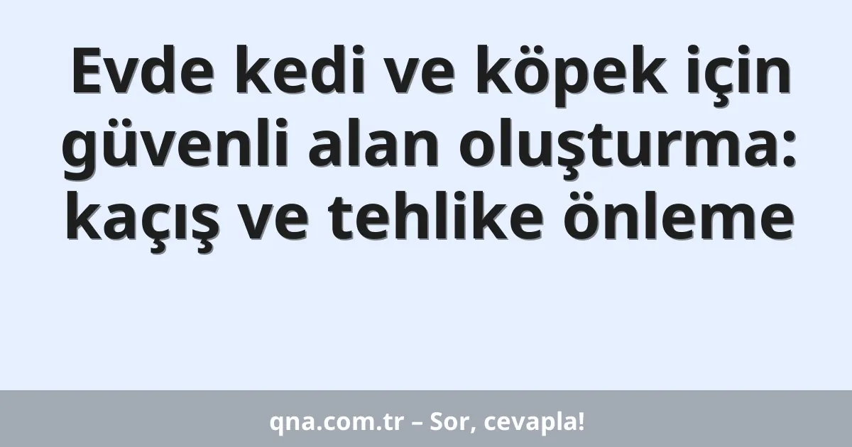 Evde kedi ve köpek için güvenli alan oluşturma: kaçış ve tehlike önleme