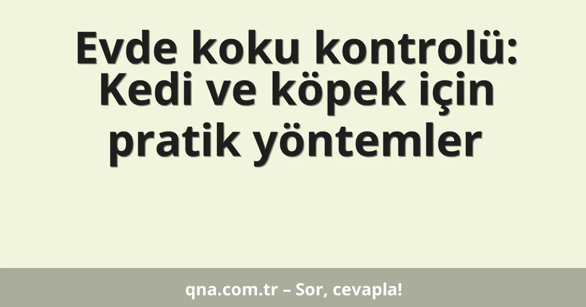 Evde koku kontrolü: Kedi ve köpek için pratik yöntemler