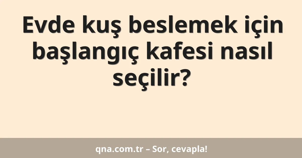 Evde kuş beslemek için başlangıç kafesi nasıl seçilir?