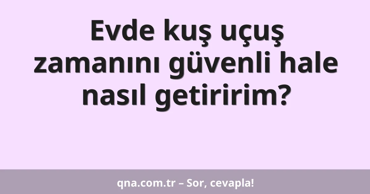 Evde kuş uçuş zamanını güvenli hale nasıl getiririm?
